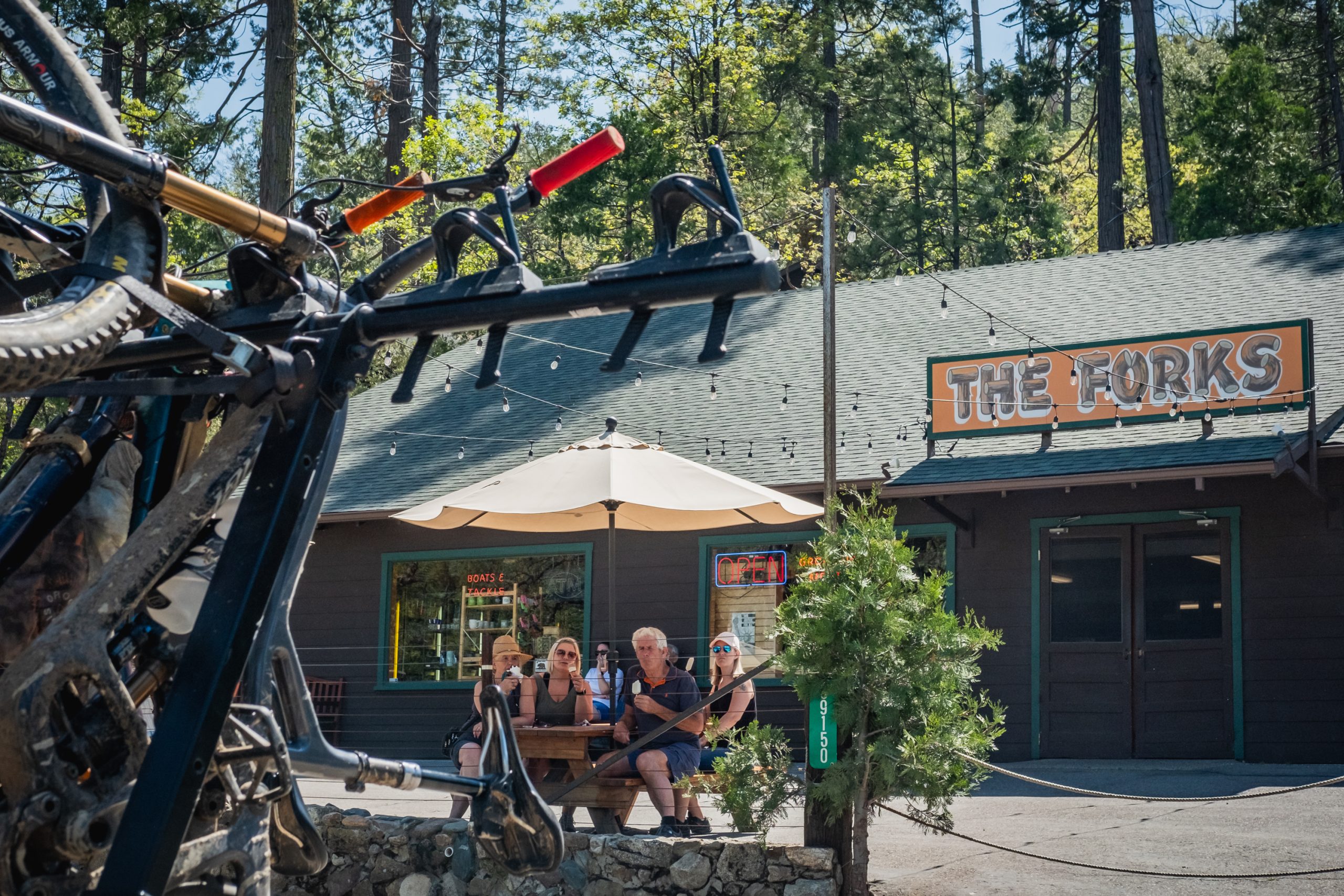 best bike shops with guided bike rides in yosemite