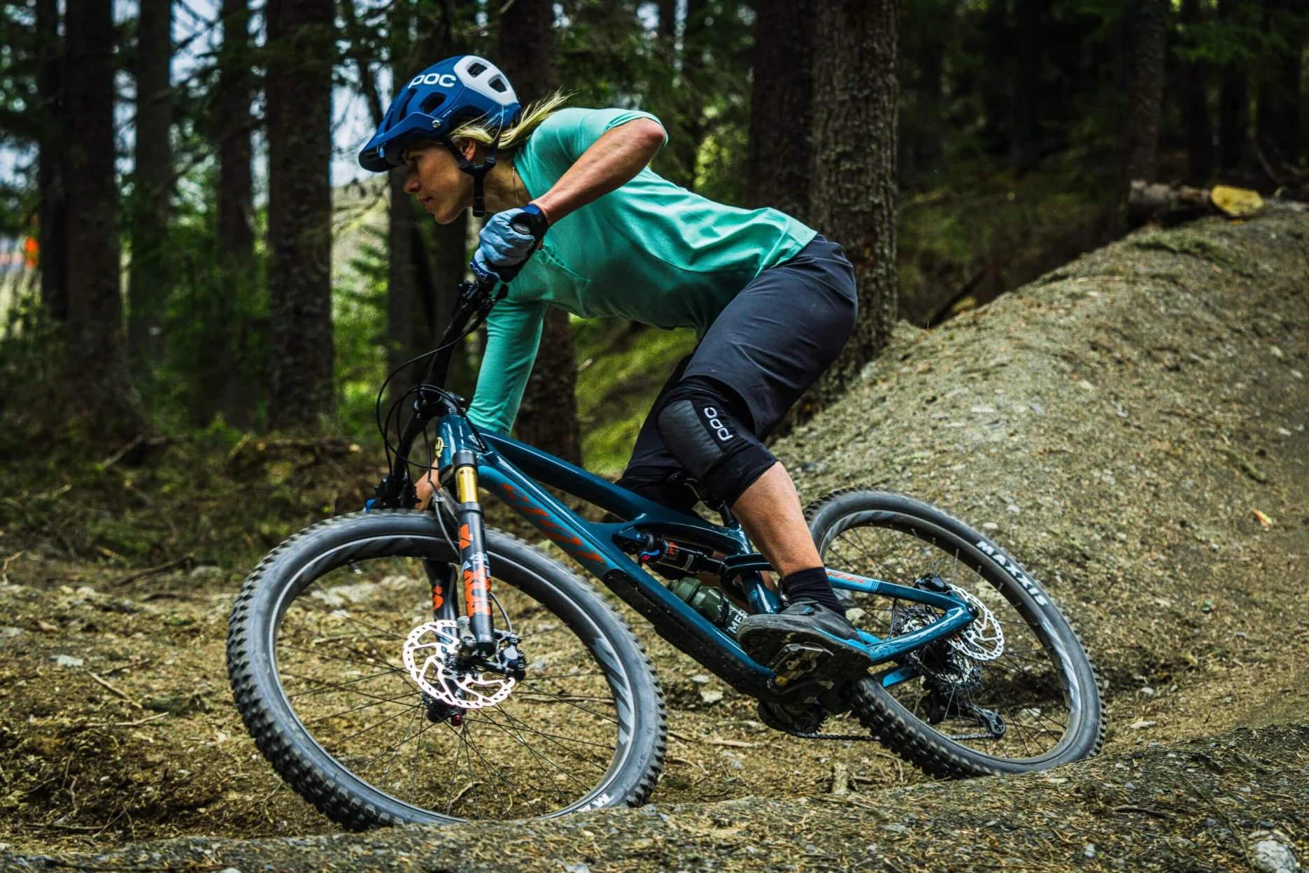 bike rentals near me