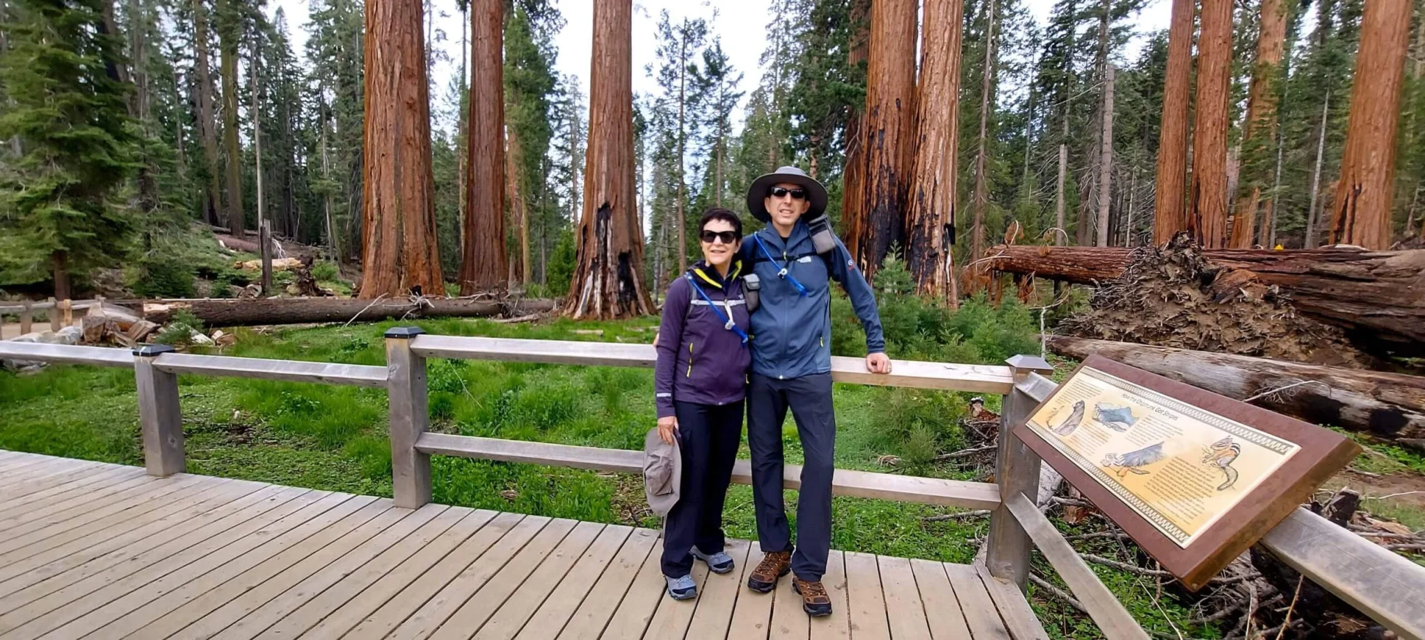 best guided hikes in yosemite ca